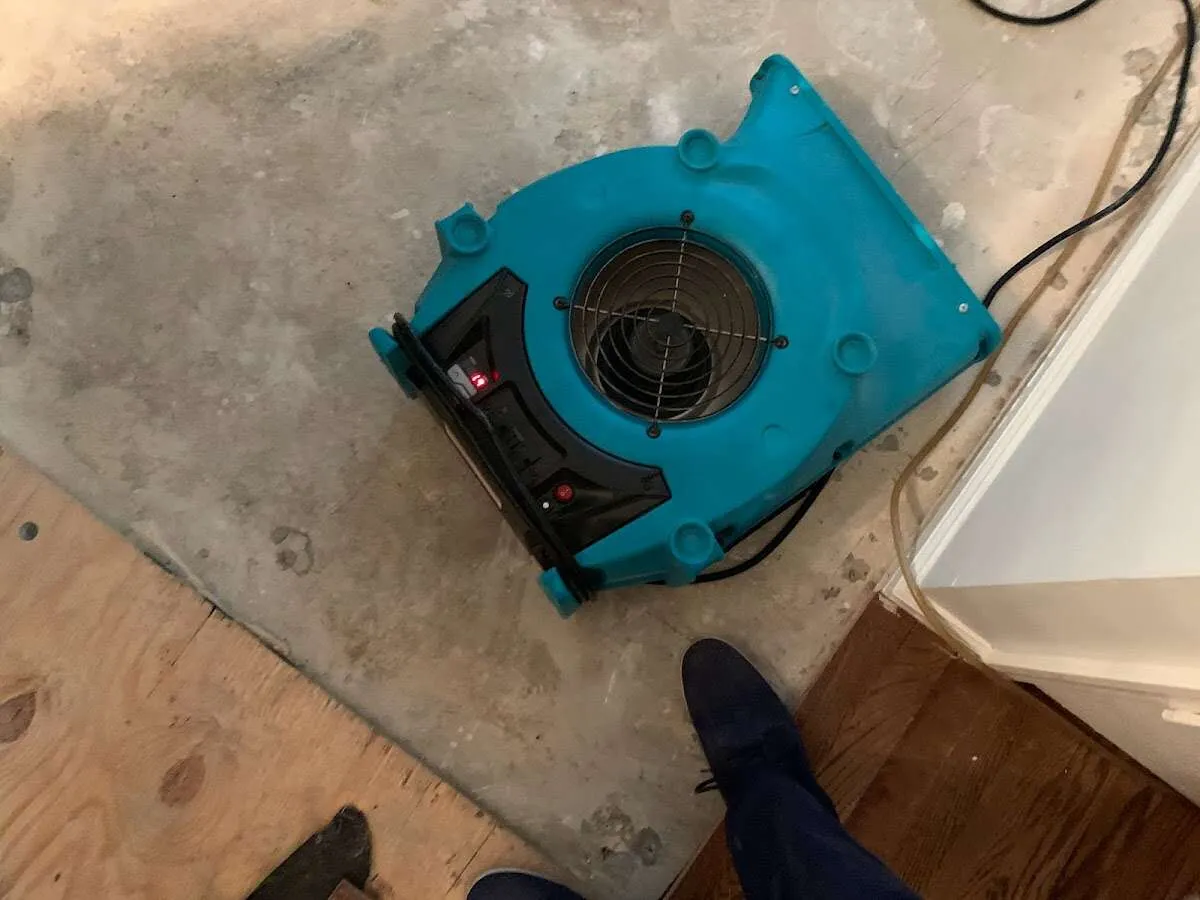 Air mover drying subfloor during Leak Detection & Repair in Brazil