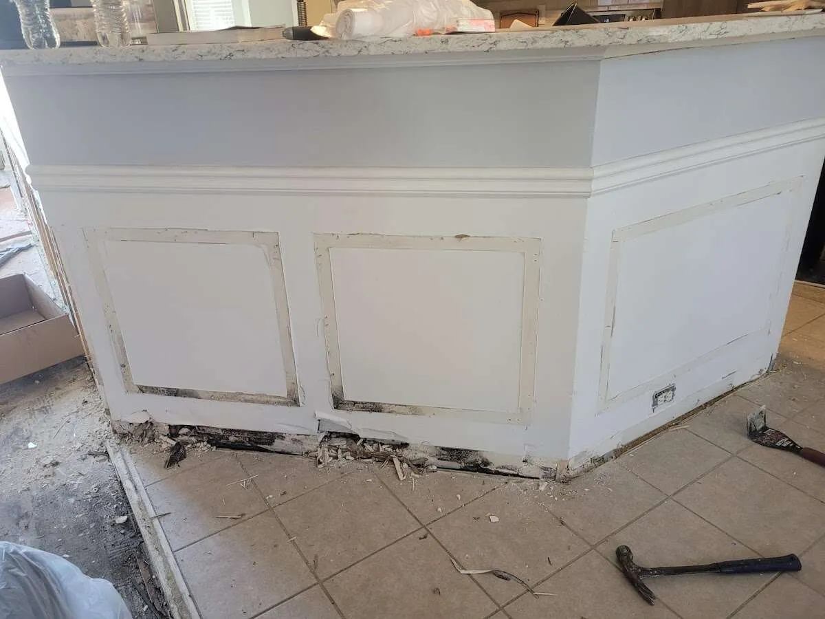 Water damage and mold on kitchen during Mold Inspection & Testing in Brazil